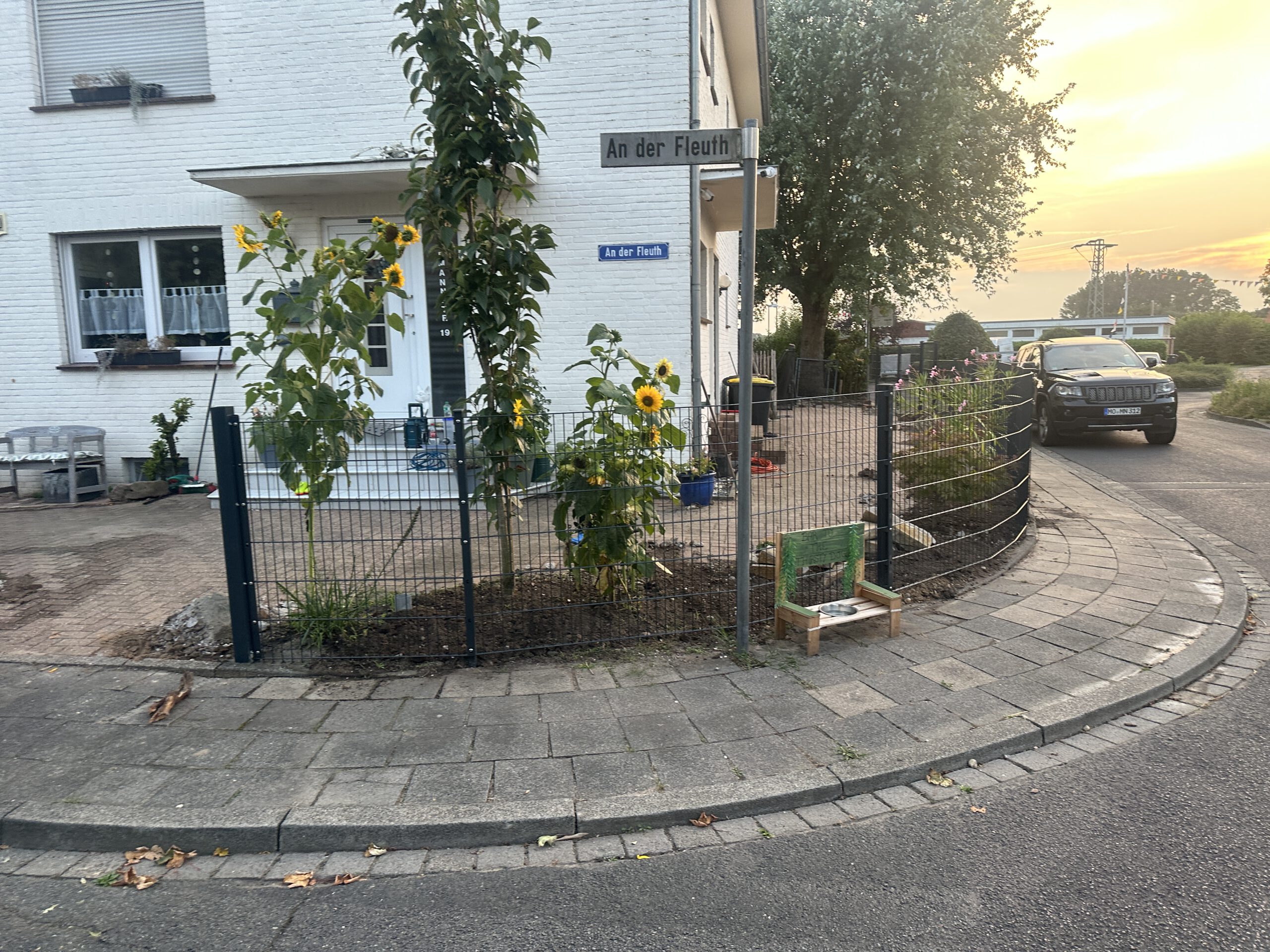 Home IMG 3094 Scaled